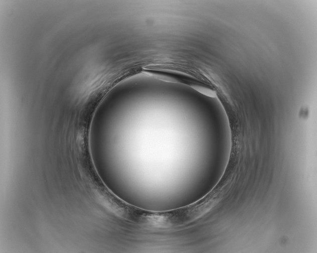 X0000094190265200711021035