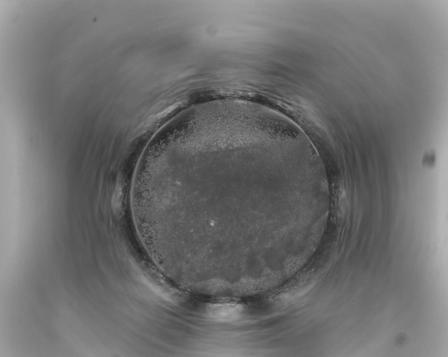 X0000094190266200711021035