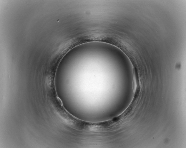 X0000094190268200711021035