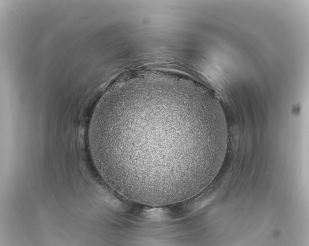 X0000094190269200711021035