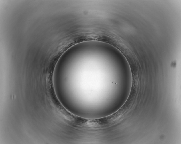 X0000094190270200711021035