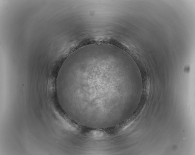 X0000094190272200711021035