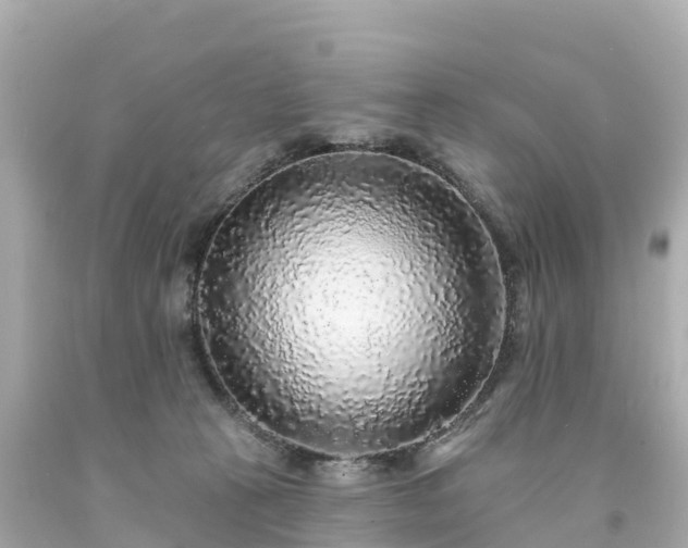 X0000094190273200711021035