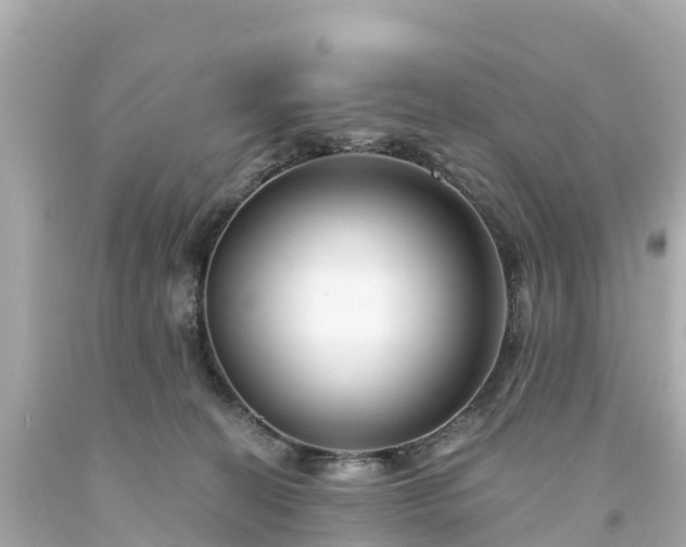 X0000094190274200711021035