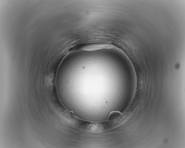 X0000094190275200711021035