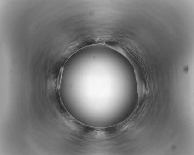 X0000094190276200711021035