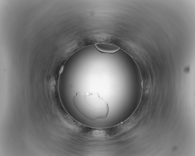 X0000094190279200711021035