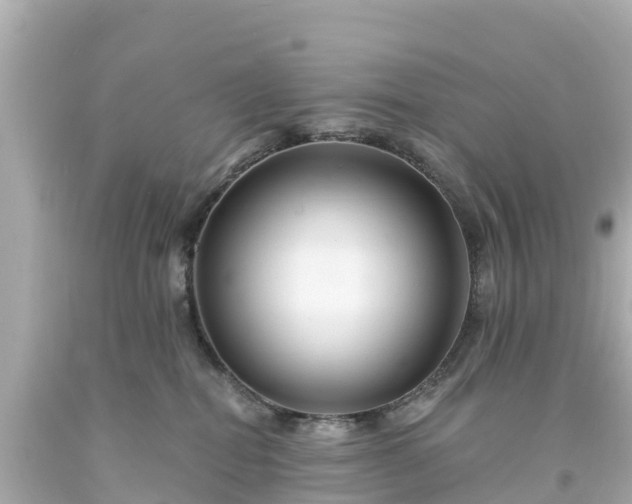 X0000094190282200711021035