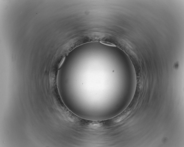 X0000094190283200711021035