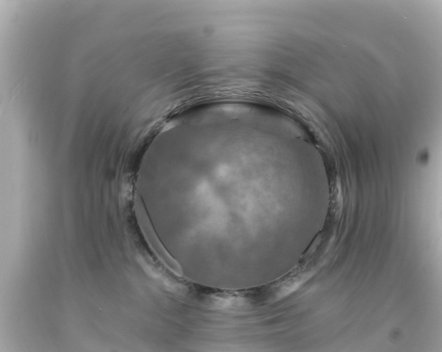 X0000094190284200711021035