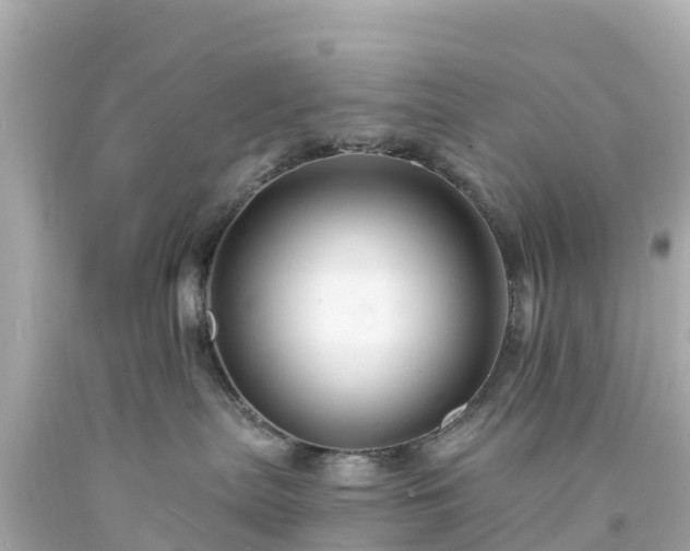 X0000094190287200711021035