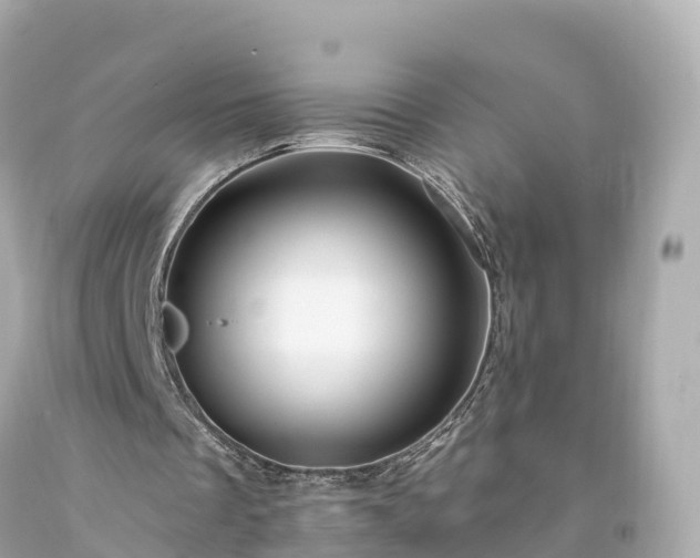 X0000094190289200711021035