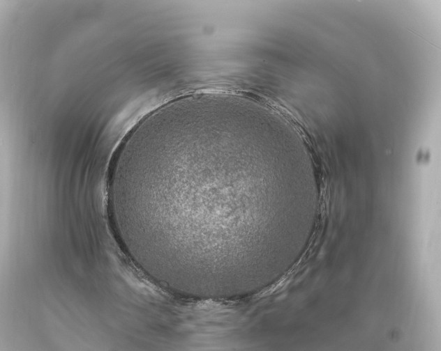 X0000094190290200711021035