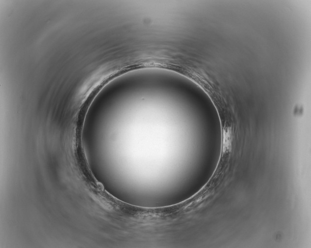 X0000094190291200711021035