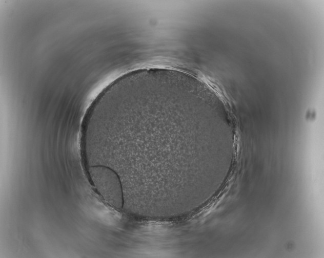 X0000094190292200711021035