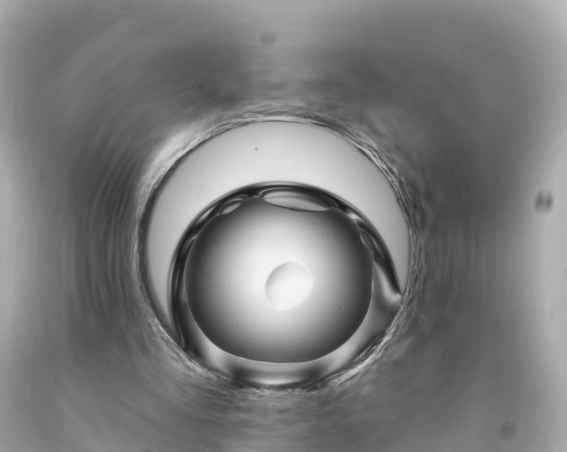 X0000094190293200711021035