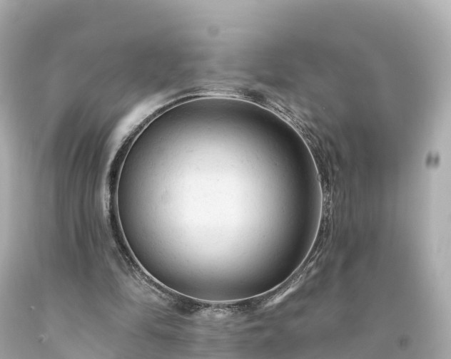 X0000094190294200711021035