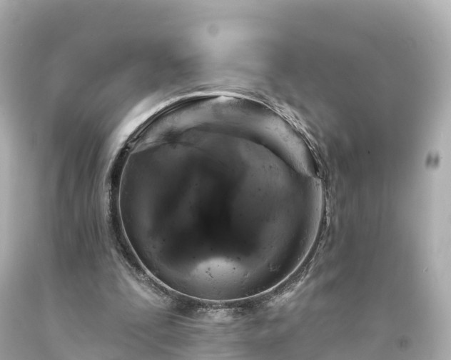 X0000094190295200711021035