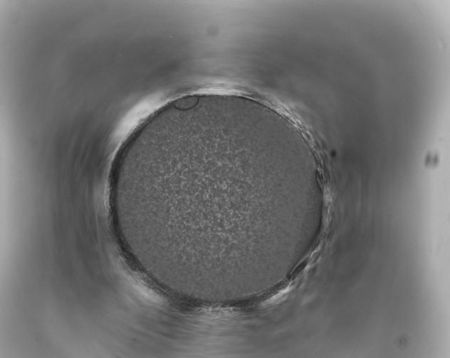 X0000094190296200711021035