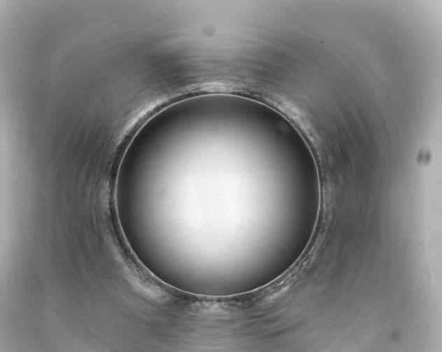 X0000094190297200711021035