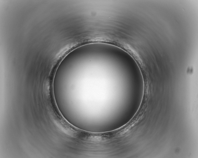 X0000094190298200711021035