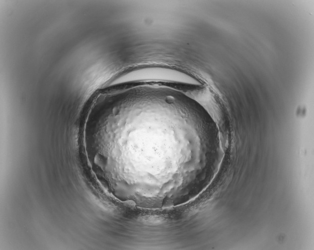 X0000094190299200711021035