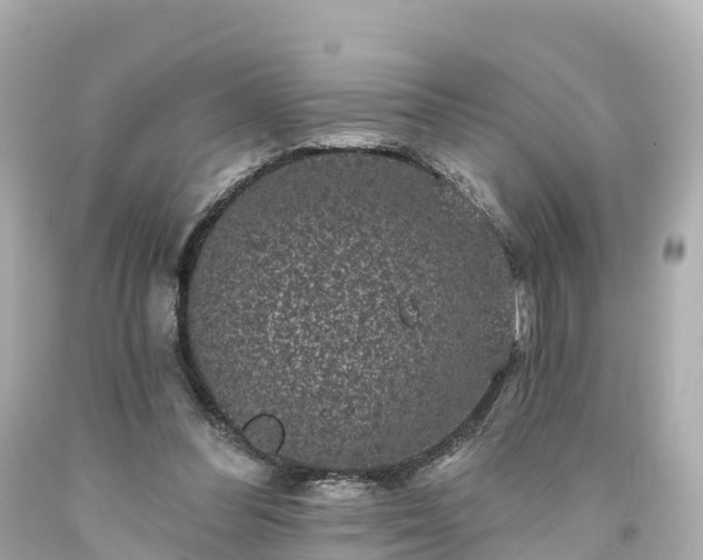 X0000094190300200711021035