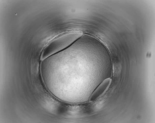 X0000094190301200711021034