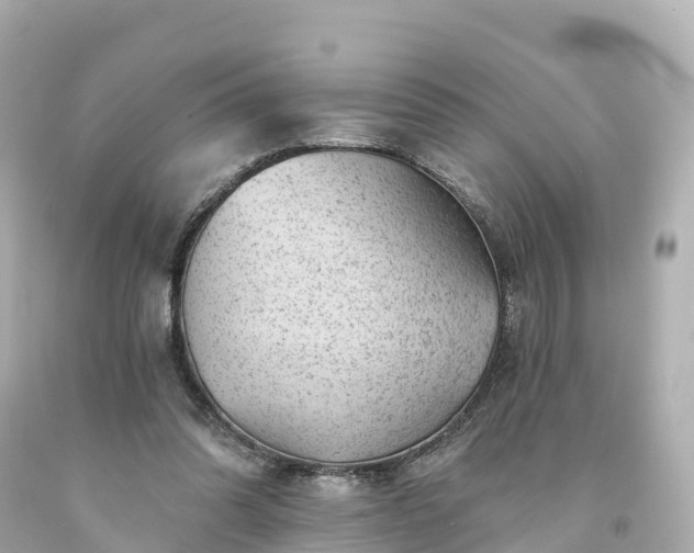 X0000094190302200711021034