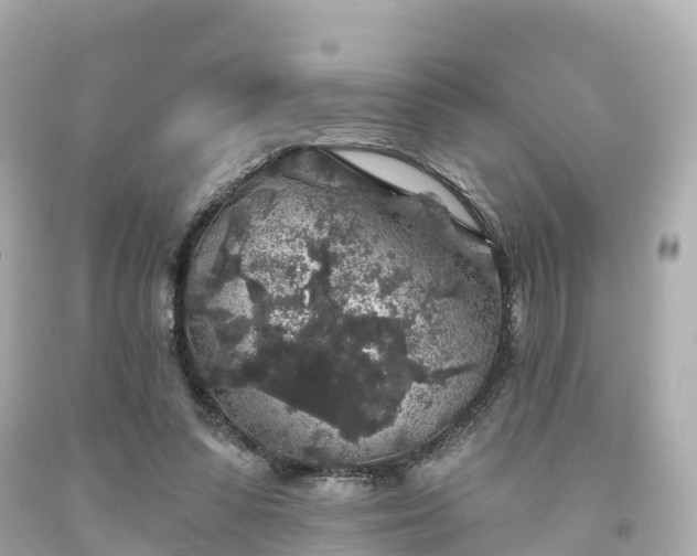 X0000094190303200711021034