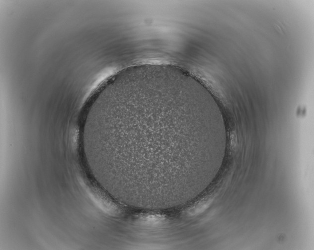 X0000094190304200711021034