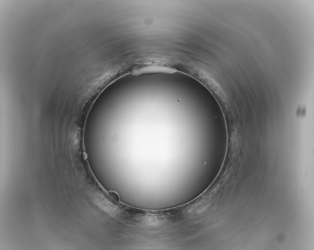 X0000094190305200711021034