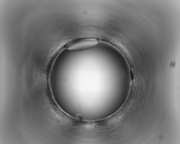 X0000094190306200711021034