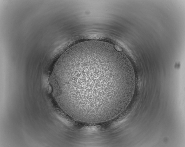 X0000094190307200711021034