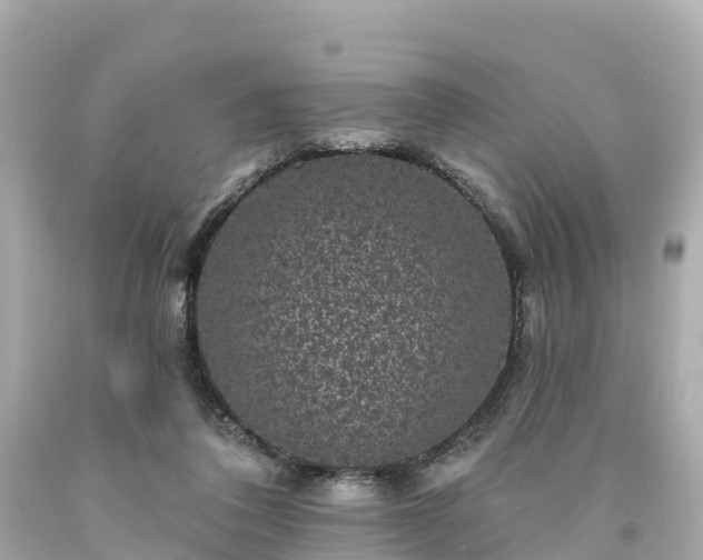 X0000094190308200711021034