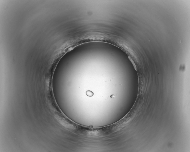 X0000094190309200711021034