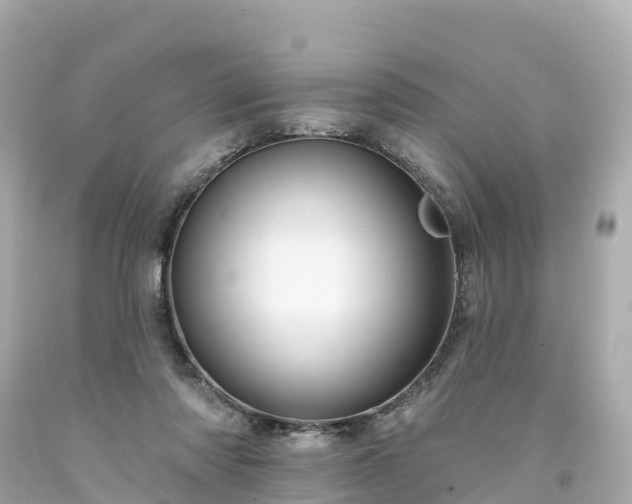 X0000094190310200711021034