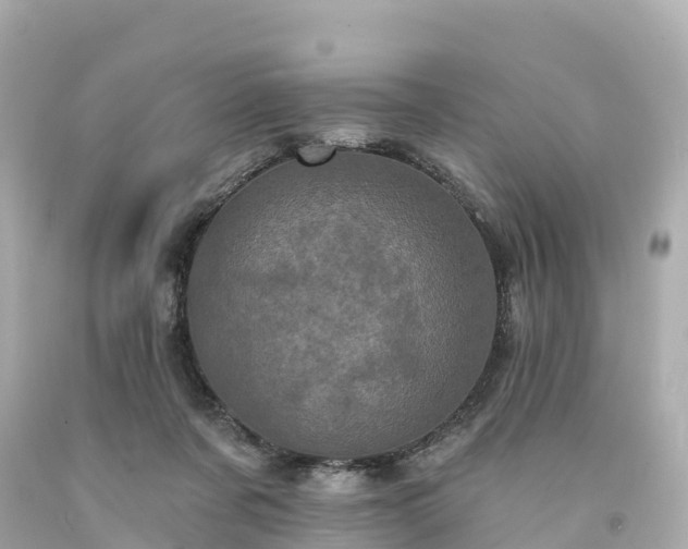 X0000094190311200711021034