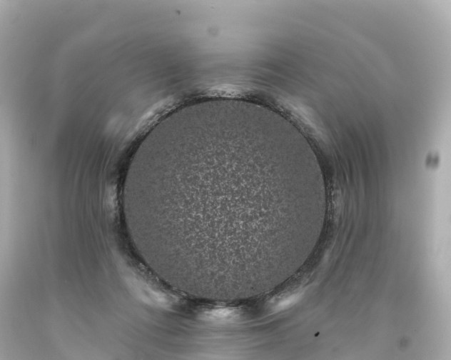 X0000094190312200711021034