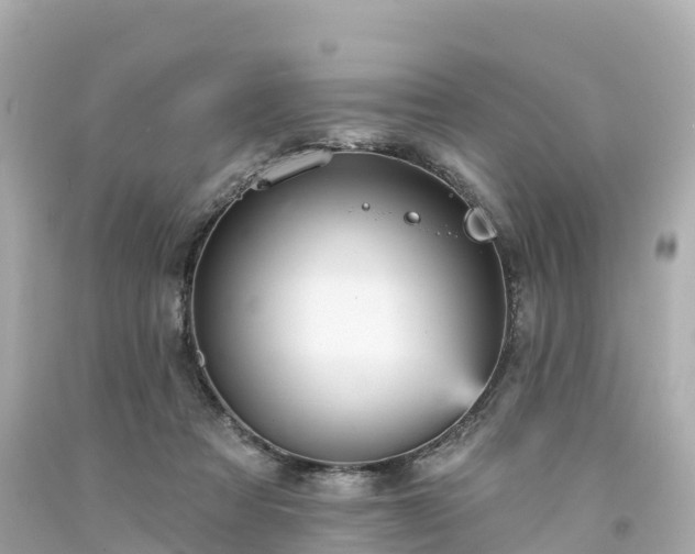 X0000094190313200711021034