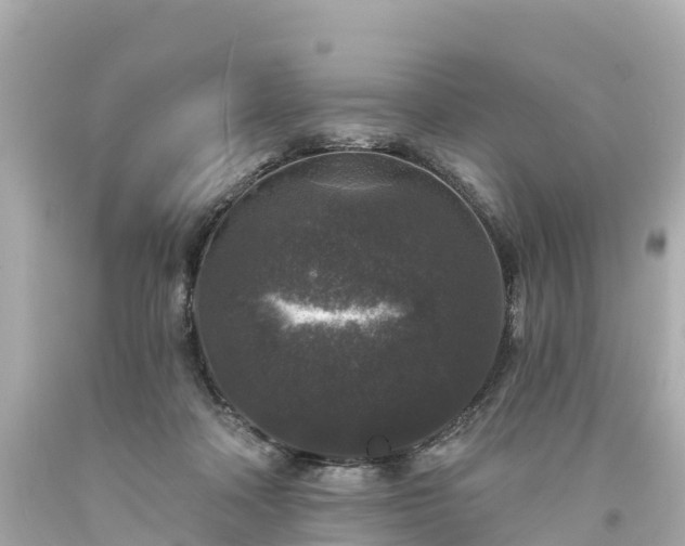 X0000094190314200711021034