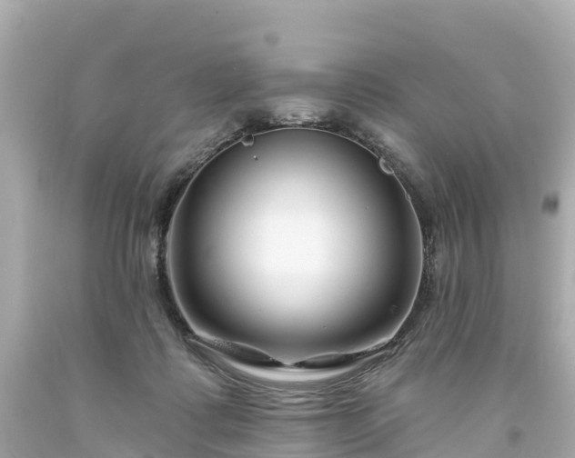 X0000094190315200711021034