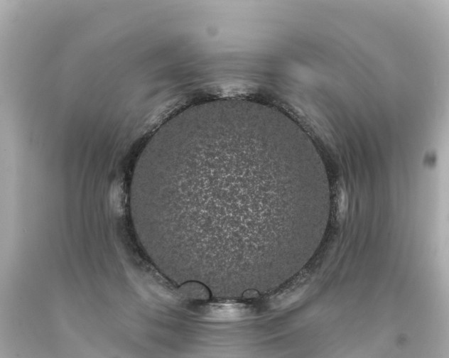 X0000094190316200711021034