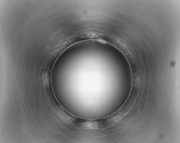 X0000094190317200711021034