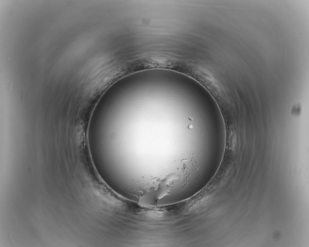 X0000094190318200711021034