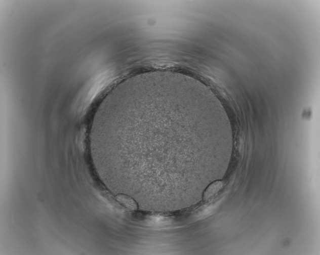 X0000094190319200711021034