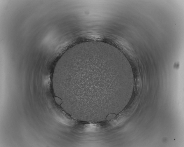 X0000094190320200711021034