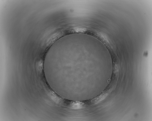 X0000094190321200711021034