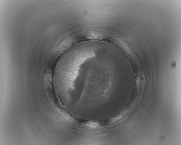 X0000094190322200711021034