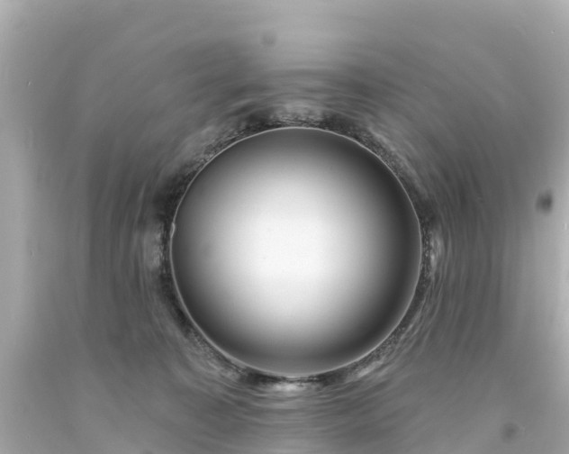 X0000094190323200711021034